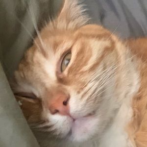 Meet your Posher, Karla